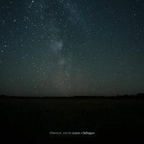 Южный, zoo in space - Звёзды