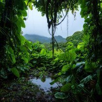 Александр Вольский, Звуки сна Окружающие Шумы - Звуки Дождя Шум Леса Звуки Моря Белый Шум Для Сна 3