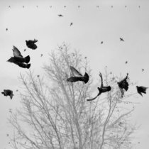 Alexander Demidov - Autumn hope