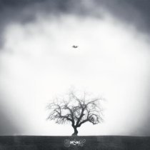 hatikoali - Заряженный