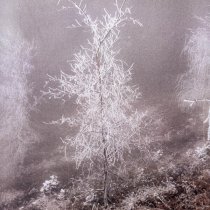 PROOVY - вечная петля