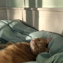 Доступно в вашем регионе - Bad Dreams (Teddy Swims)