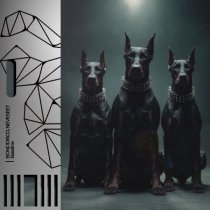 BONDDISCO, Neveseet - Bassline