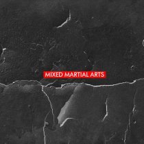 Кот Балу - Mixed Martial Arts