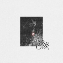 Late 90s - Silk
