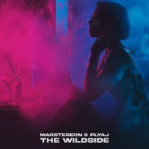 MARSTEREON, PLYAJ - The Wildside
