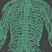 Coma Phase - Pressure Point