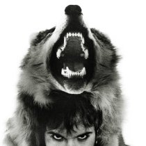 Маугли - Волка кормят ноги