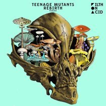 Teenage Mutants - Paulus