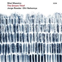 Shai Maestro - New River, New Water
