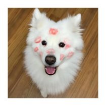 маленький маквин - Намордник