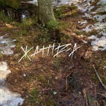 Электросон, Эйс! - Никто не виноват