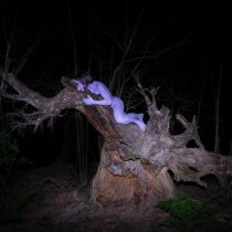 SADSADSERGIEVPOSAD - Пёс