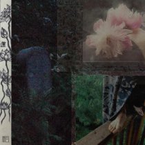 Мононоке - лотосы