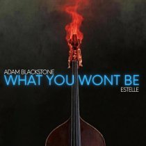 Adam Blackstone, Estelle - What You Won't Be