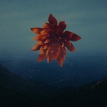 The Devil Wears Prada - Everybody Knows