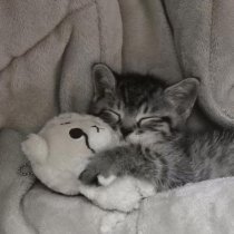 helvuxx, wifiskeleton - Nope your too late i already died