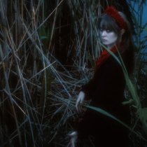 Lissa - Черная речка