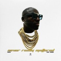 Akon, Simien - Never Really Mattered