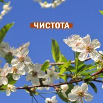 Глас вокальный проект - Чистота