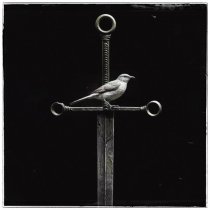 Daomi - Смутьян