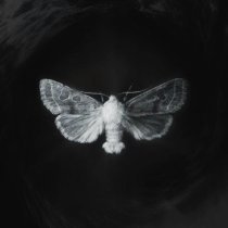 DIGITAL REY - Your Love (Slowed)