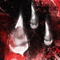 блэйзи?, BLAZER 993 - слезами