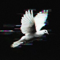 COLD WEST - Целься в сердце