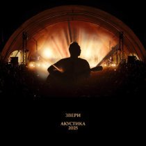 Звери - Просто такая сильная любовь (Акустика 2025, Live)