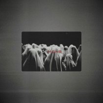 silent anthem - demons