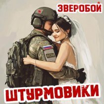 Зверобой - Штурмовики