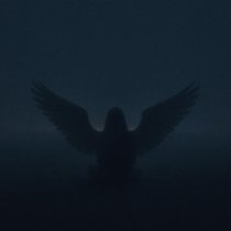 kyotobaby - she's angelic