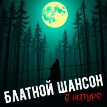 Константин Жиляков - Бродяга