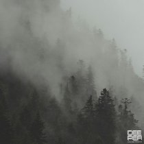 RILTIM - Reflections