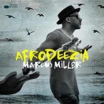 Marcus Miller - Papa Was A Rolling Stone