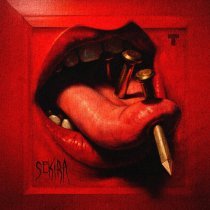 Гарри Топор - SEKIRA