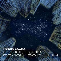 Кошка Сашка - 40 секунд