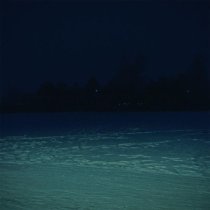 brndoom, kyotobaby - far afield