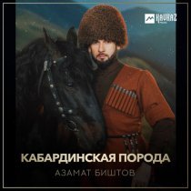 Азамат Биштов - Кабардинская порода