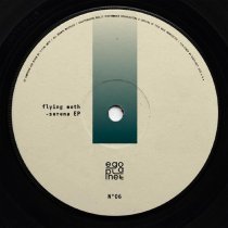 Flying Moth - Life's Projections