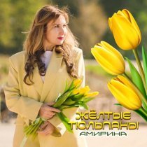 Амирина - Жёлтые тюльпаны