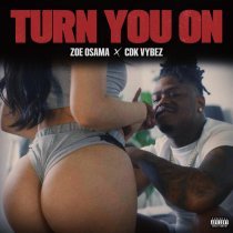 Zoe Osama, Cdk Vybez - Turn You On (feat. Cdk Vybez)