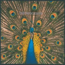 The Bluetones - Carnt Be Trusted