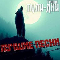 Группа Пули-Дни - Брат