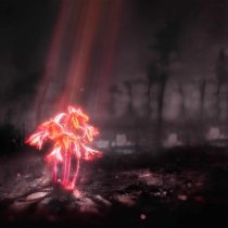 Enter Shikari - A Kiss for the Whole World x