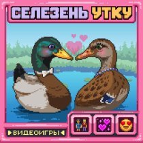 ВИДЕОИГРЫ - Селезень Утку