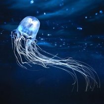 Ctrl+A - Я буду жить