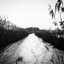 Armando Letico - Stone Town