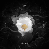 Avicii, Aluna - What Would I Change It To