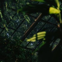 Artem Ramanau, Izzamuzzic - Breathe Again